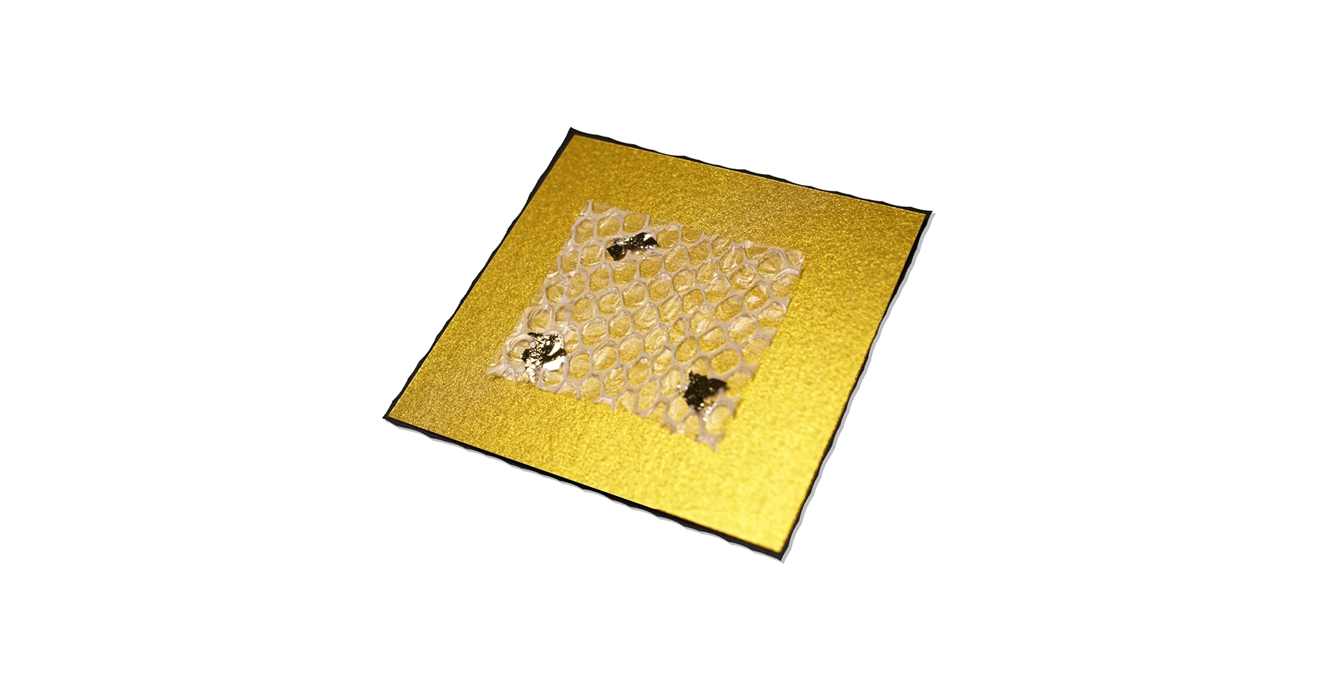 Amazon.co.jp: 【岩國白蛇神社にて祈祷済み(毎年1月祈祷)】 白蛇の